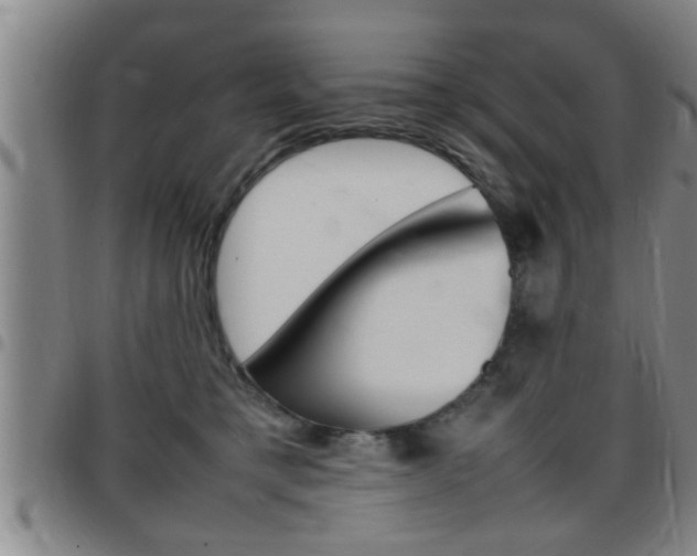 X0000097860421200803140900