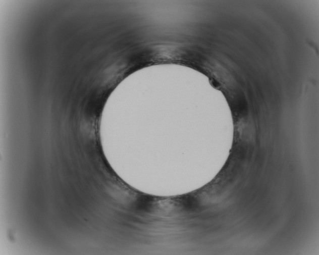 X0000097860423200803140900