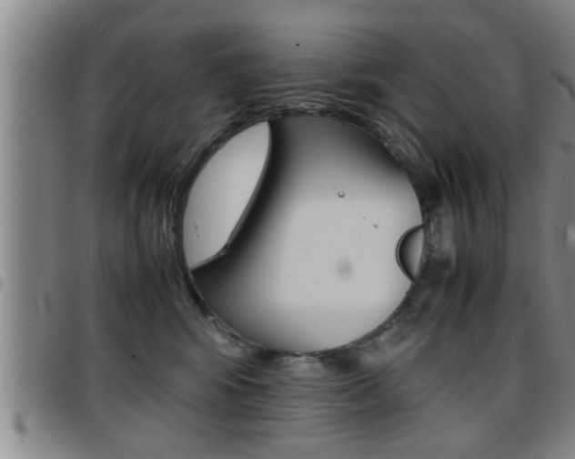 X0000097860424200803140900
