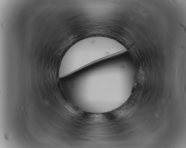 X0000097860428200803140900