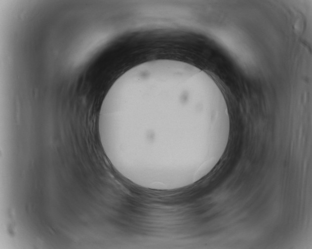 X0000097860431200803140900