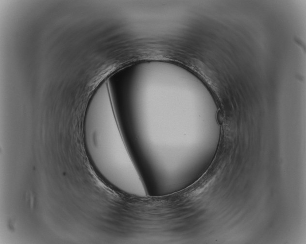 X0000097860433200803140859