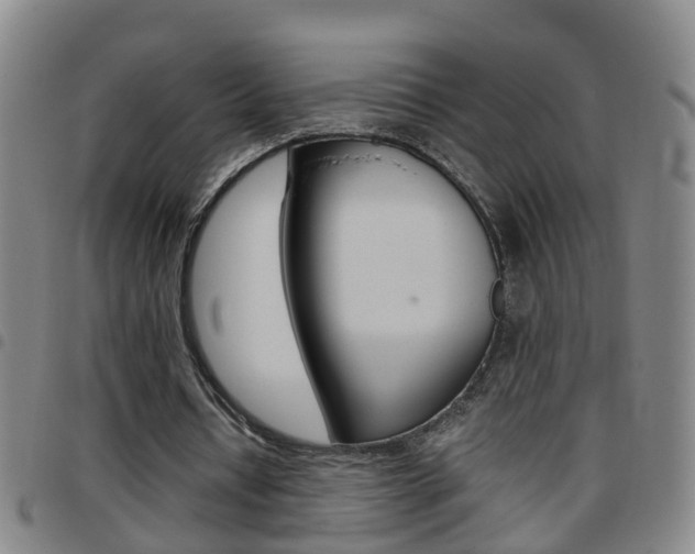 X0000097860434200803140859
