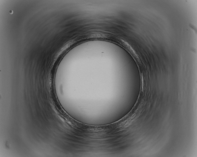 X0000097860435200803140900