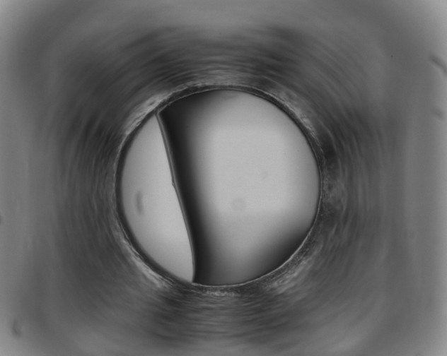 X0000097860437200803140900