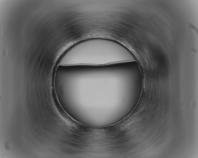 X0000097860438200803140900