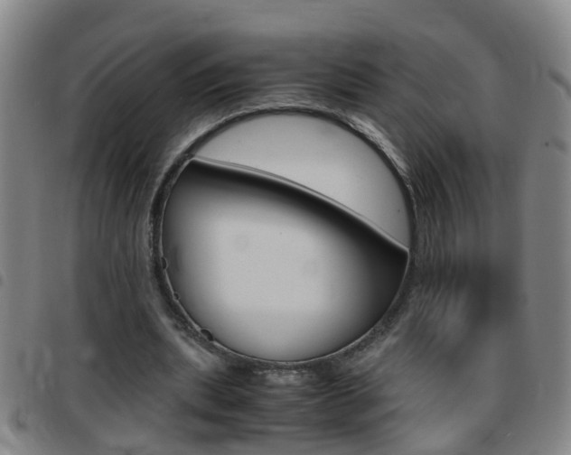 X0000097860439200803140900
