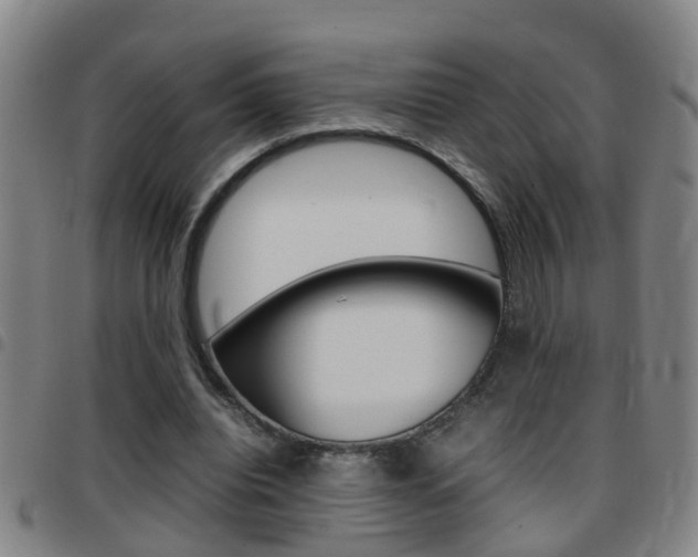 X0000097860440200803140900