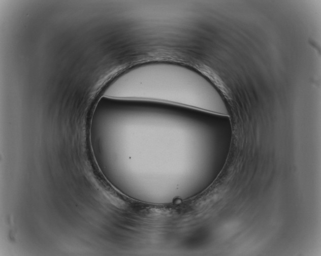 X0000097860442200803140900