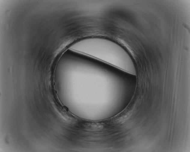 X0000097860443200803140900