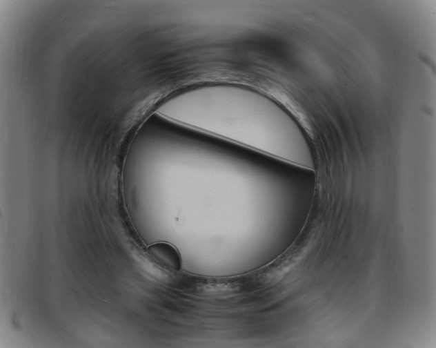 X0000097860445200803140900