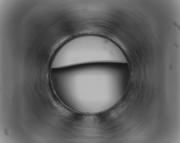 X0000097860446200803140900