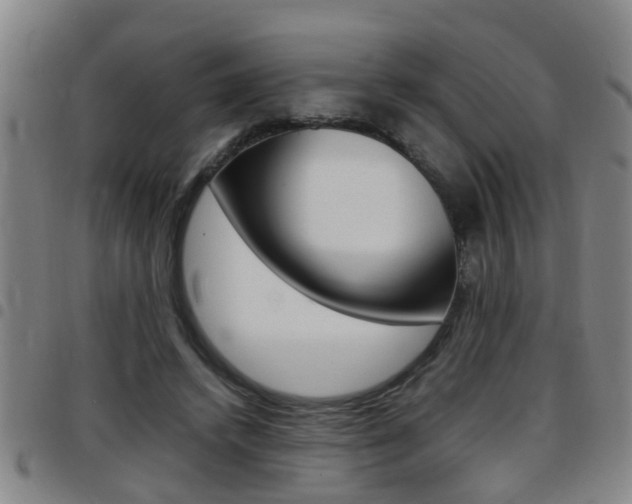 X0000097860448200803140900