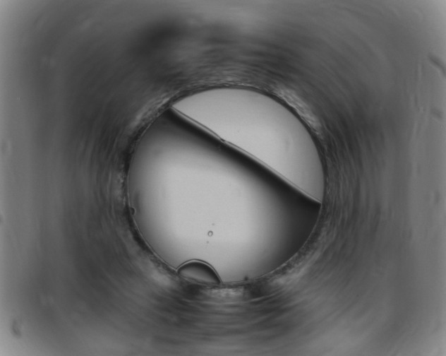 X0000097860449200803140900