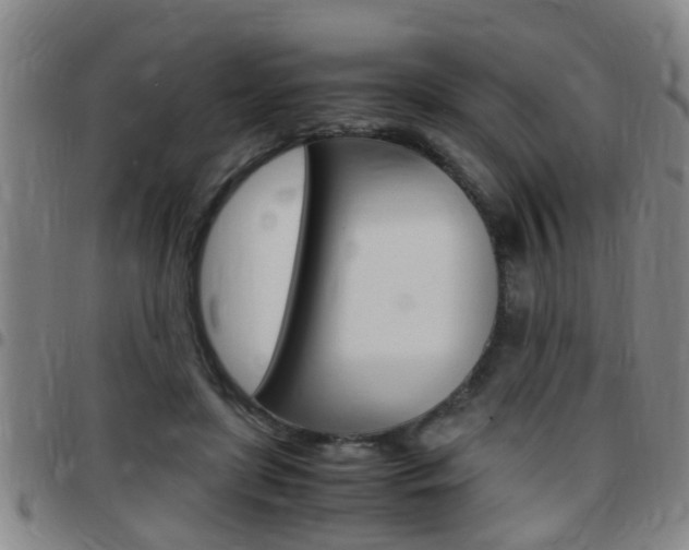 X0000097860451200803140900