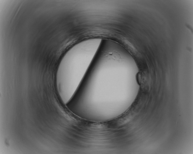 X0000097860454200803140900