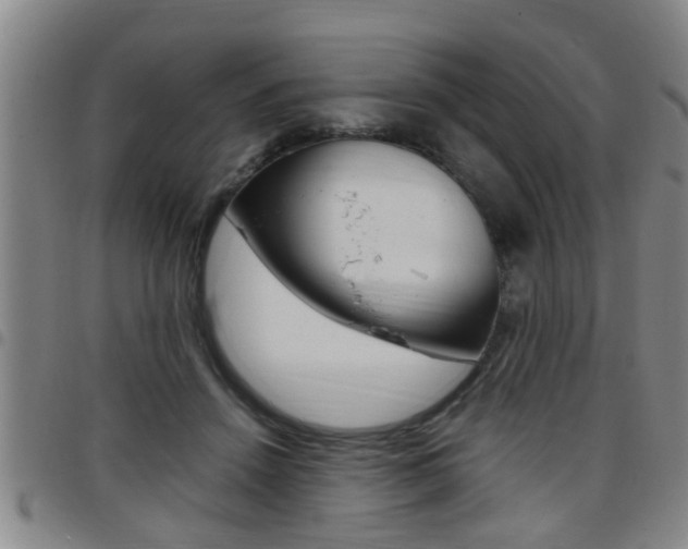 X0000097860456200803140900