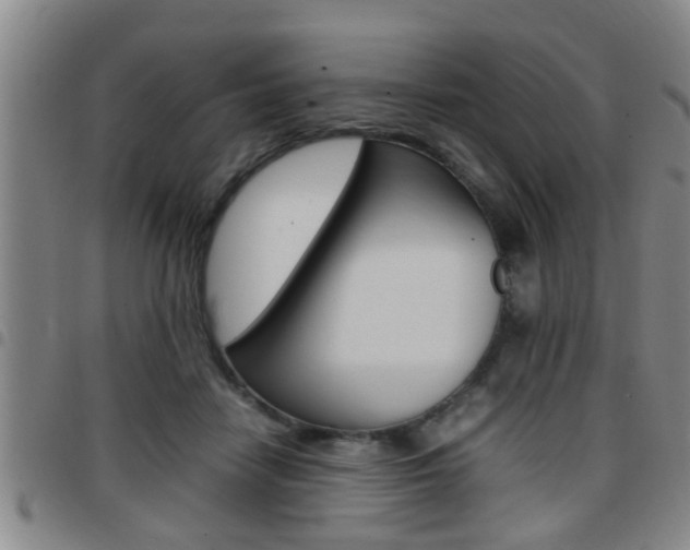 X0000097860458200803140900