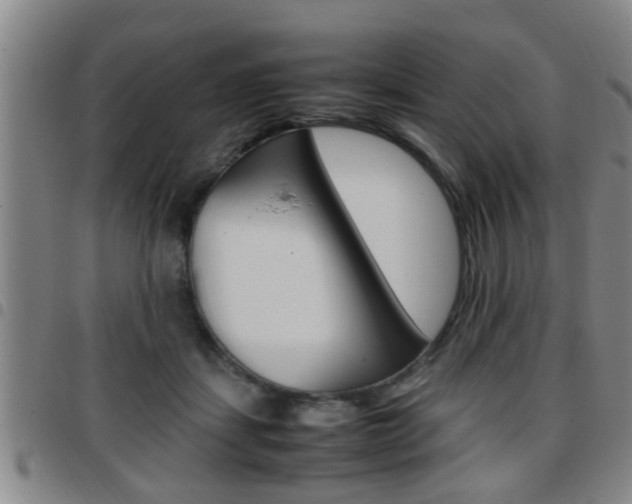 X0000097860459200803140900