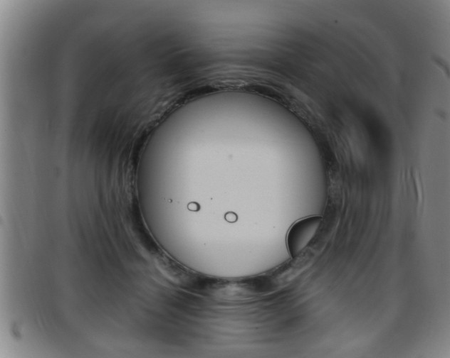 X0000097860460200803140900