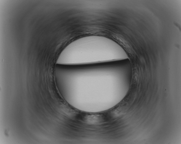 X0000097860461200803140900