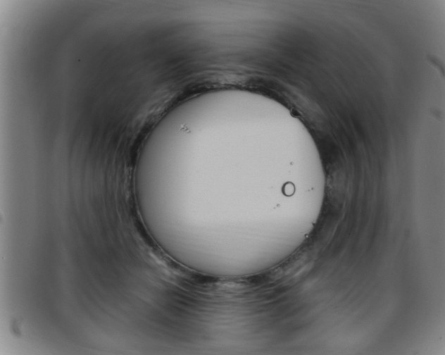 X0000097860462200803140900