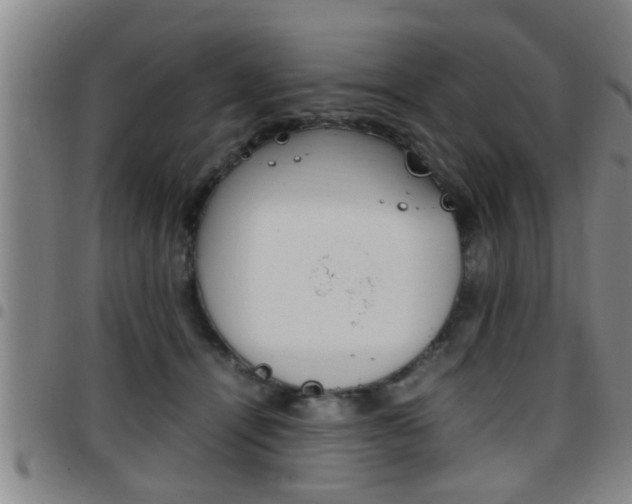 X0000097860464200803140900