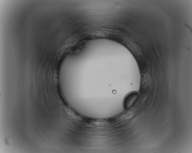 X0000097860466200803140900