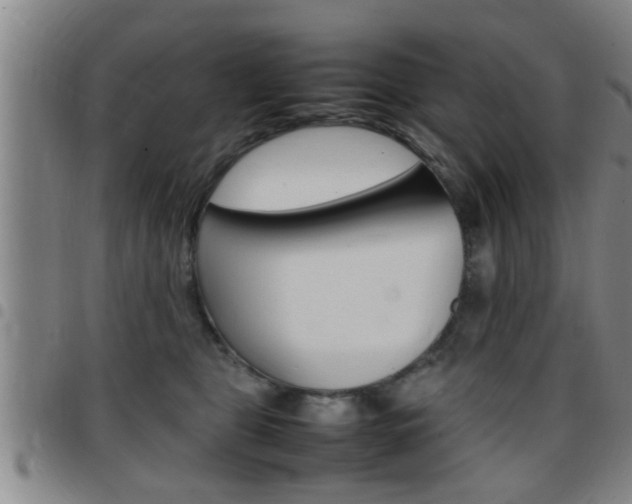 X0000097860469200803140900