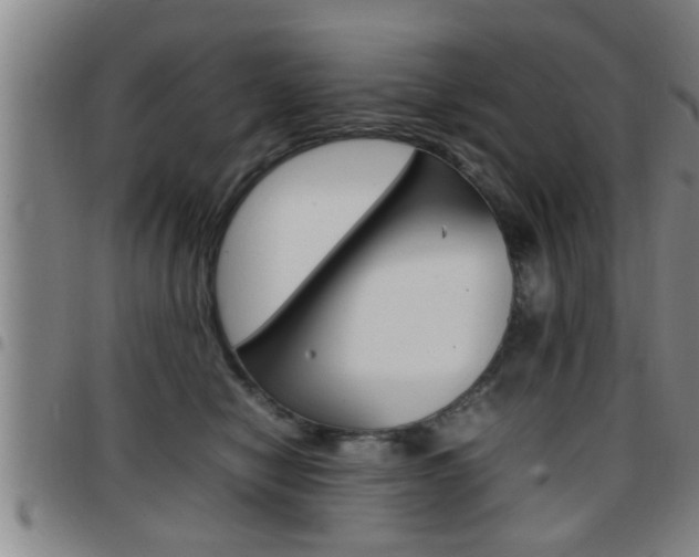X0000097860470200803140900