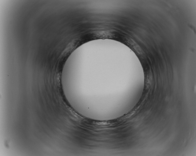 X0000097860473200803140900
