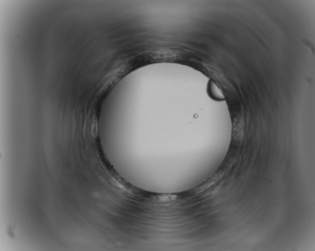 X0000097860474200803140900