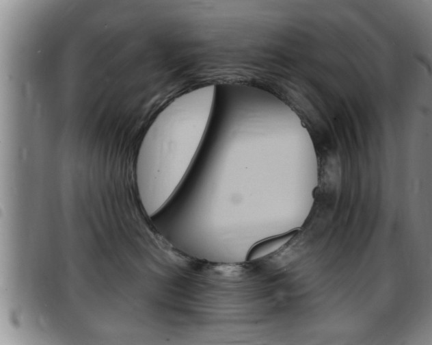 X0000097860478200803140900