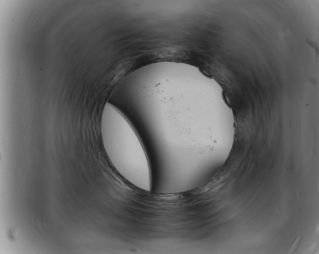 X0000097860479200803140900