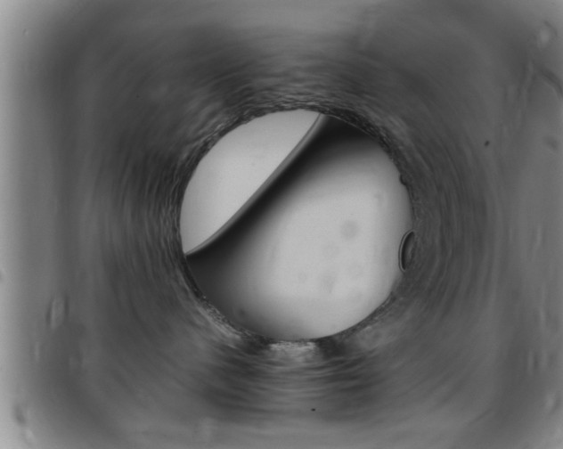 X0000097860480200803140900