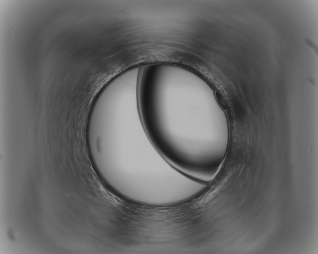 X0000097860481200803140859
