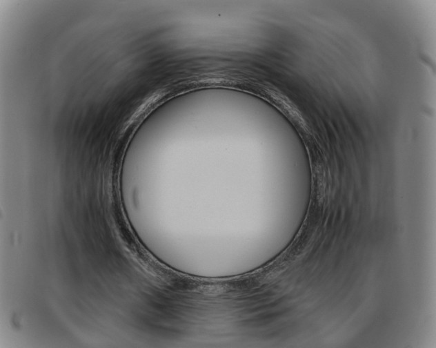X0000097860482200803140859