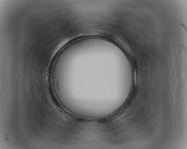 X0000097860483200803140859