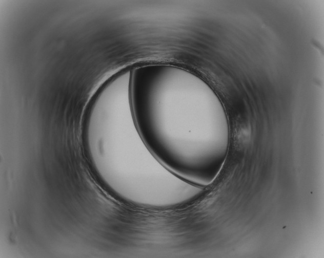X0000097860484200803140859