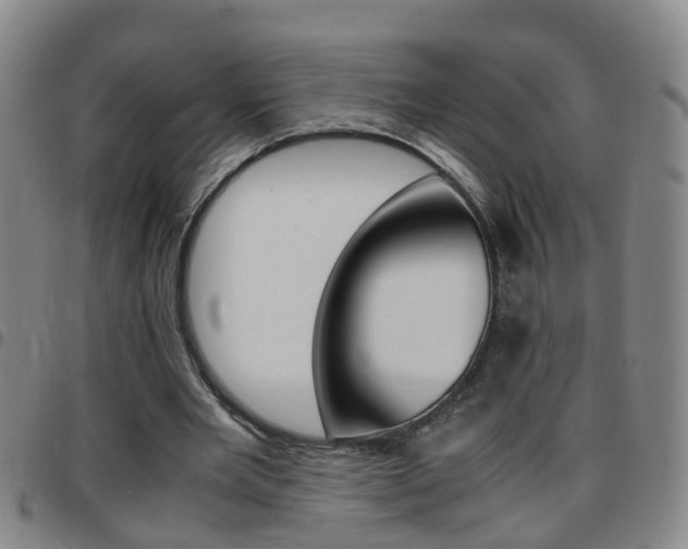 X0000097860485200803140859