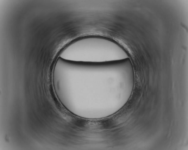 X0000097860487200803140859