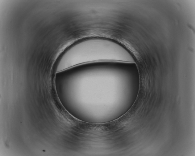 X0000097860488200803140859
