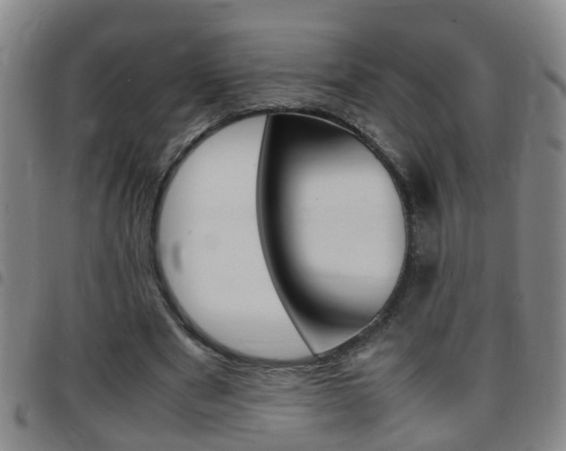X0000097860489200803140859
