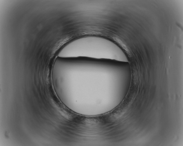 X0000097860490200803140859