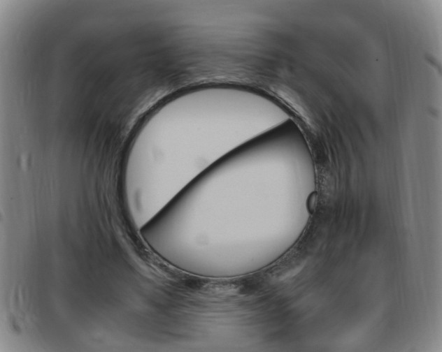 X0000097860491200803140859