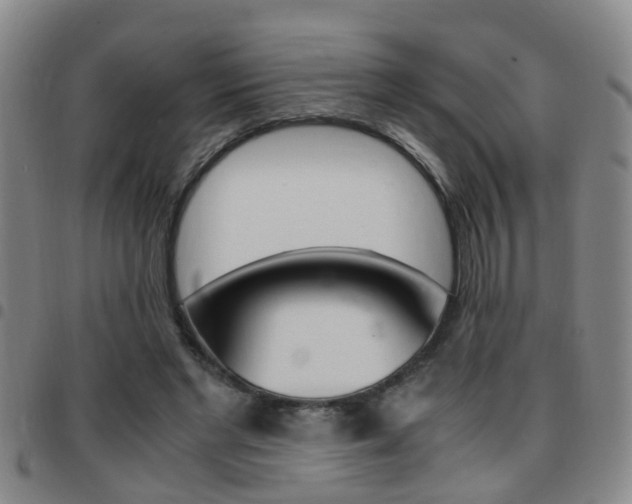 X0000097860493200803140859