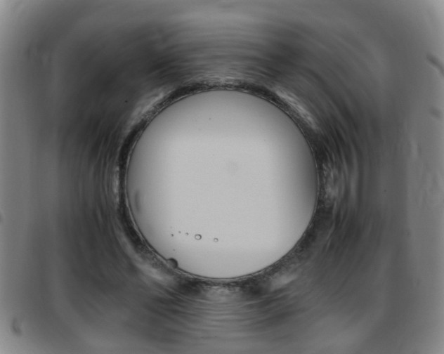 X0000097860494200803140859