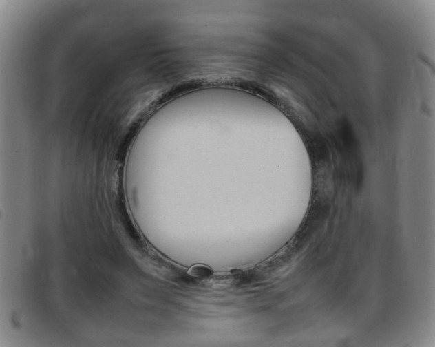 X0000097860495200803140859