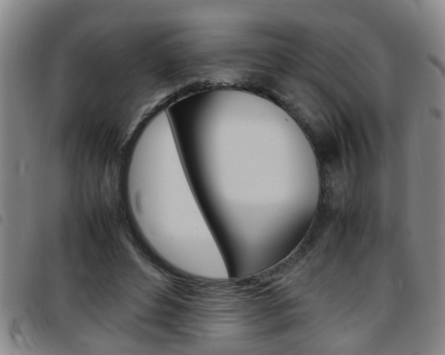 X0000097860496200803140859