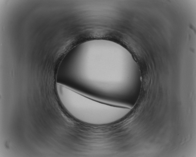 X0000097860497200803140859